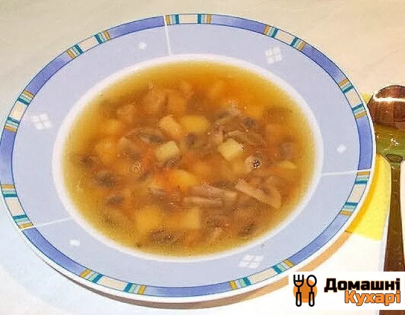 Рецепт Суп грибний з м'ясом