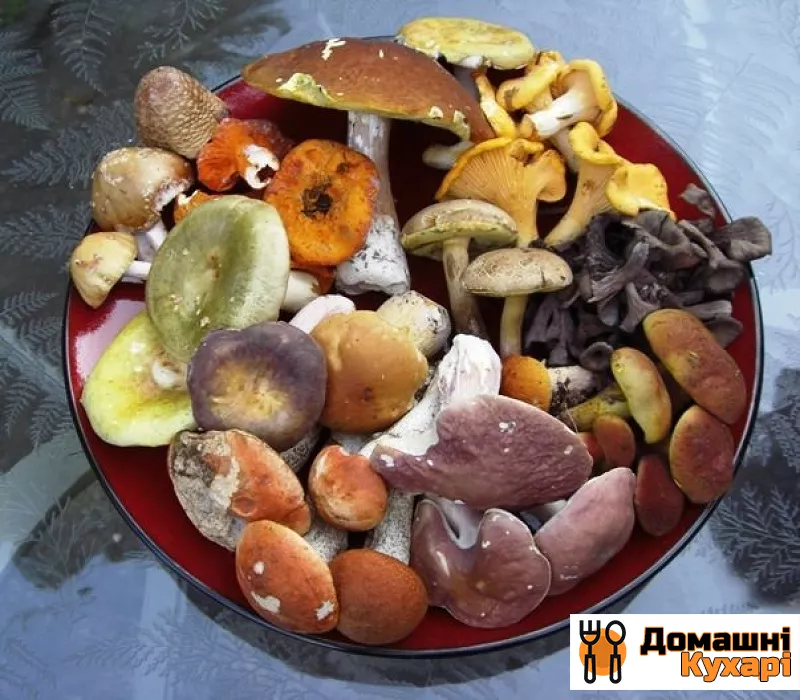 Рецепт Суп з лісових грибів