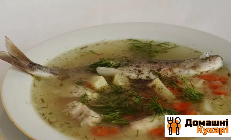 Суп з річкової риби
